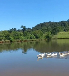 Pousada Terra do Sossego Hospeda na Casa da Cidade a 1 km do Centro Histórico COM PISCINA AQUECIDA - ÁREA DE LAZER - COZINHA COMPLETA - CHURRASQUEIRA E GANHA PASSEIO